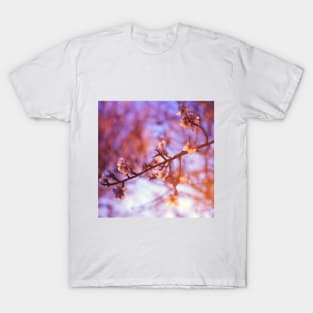 SCENERY 76 - Flower Blooming Tree Under Pink Sky Sunlight T-Shirt